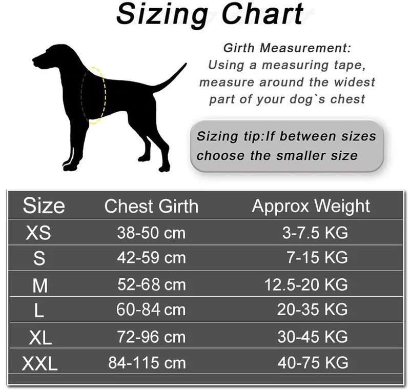 Customized Dog Harness ID Patch Reflective Breathable Adjustable Pet Harness For Dog NO PULL Pet Outdoor Harness Pet Supplies