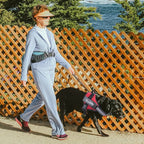 Customized Dog Harness ID Patch Reflective Breathable Adjustable Pet Harness For Dog NO PULL Pet Outdoor Harness Pet Supplies